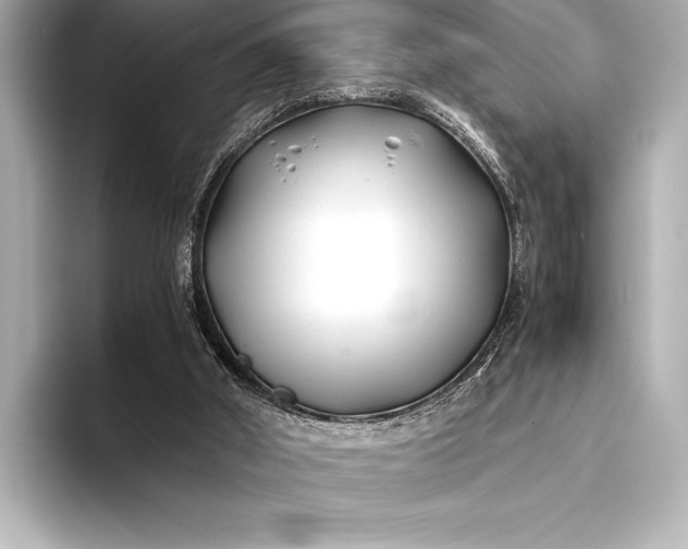 X0000094080010200711021521