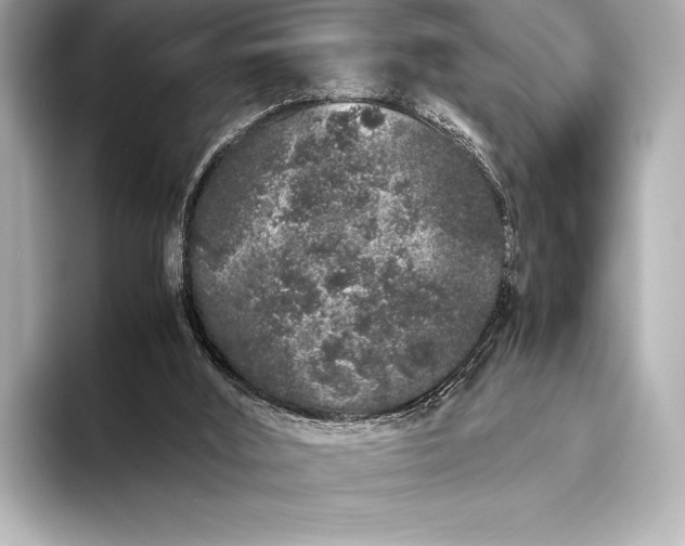 X0000094080012200711021521