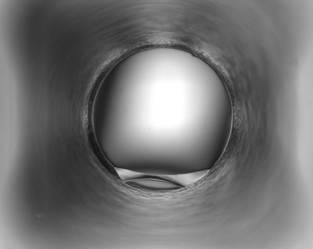 X0000094080015200711021521