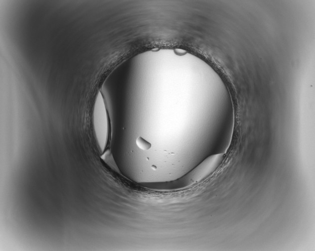 X0000094080017200711021521