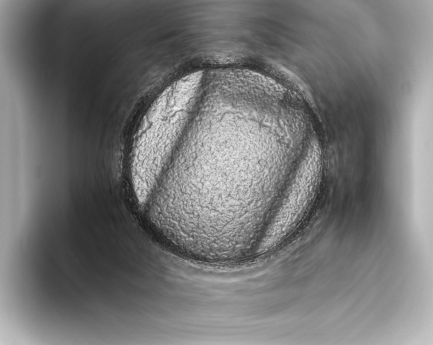 X0000094080018200711021521