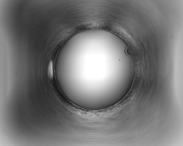 X0000094080022200711021521