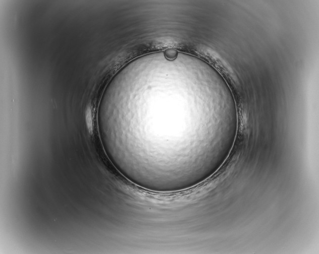 X0000094080026200711021521