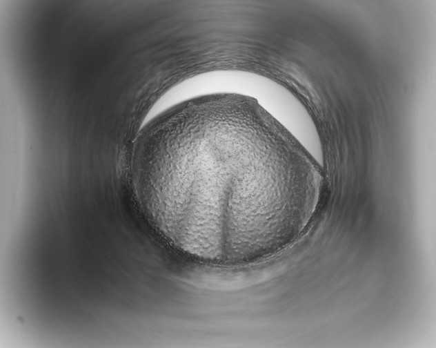 X0000094080029200711021521