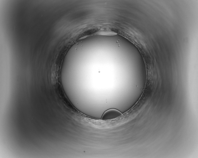 X0000094080030200711021521