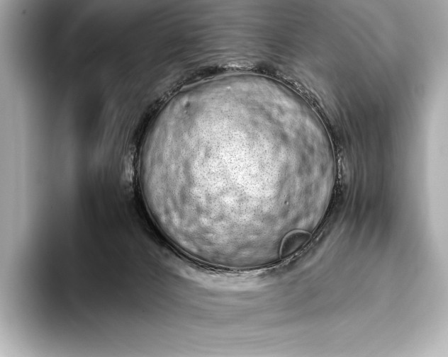 X0000094080032200711021521