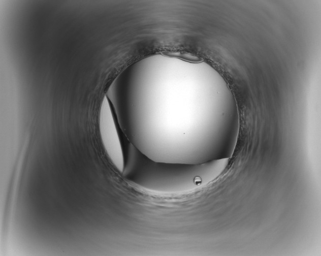 X0000094080033200711021521