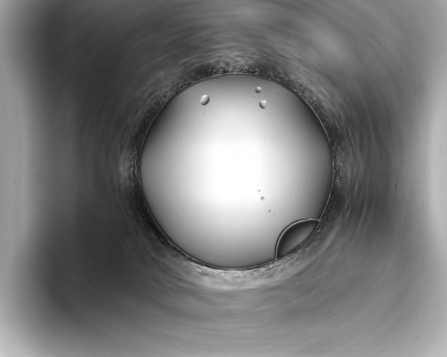 X0000094080034200711021521