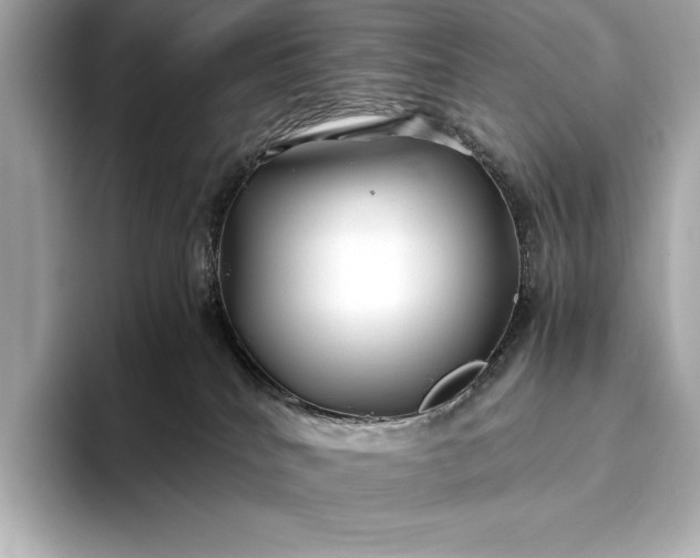 X0000094080040200711021521
