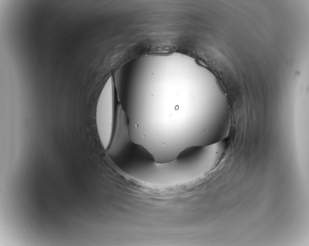 X0000094080041200711021521