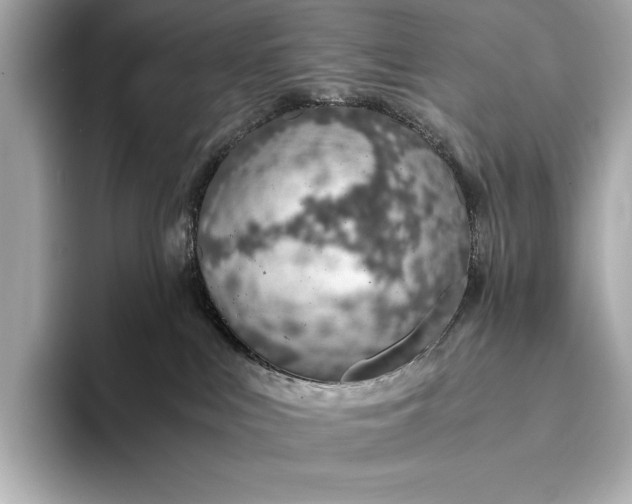 X0000094080043200711021521