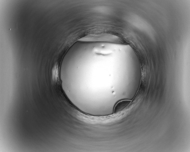 X0000094080046200711021521