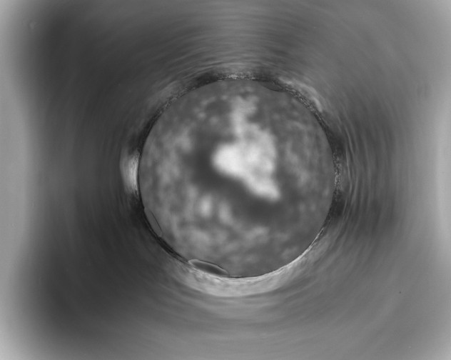X0000094080047200711021521
