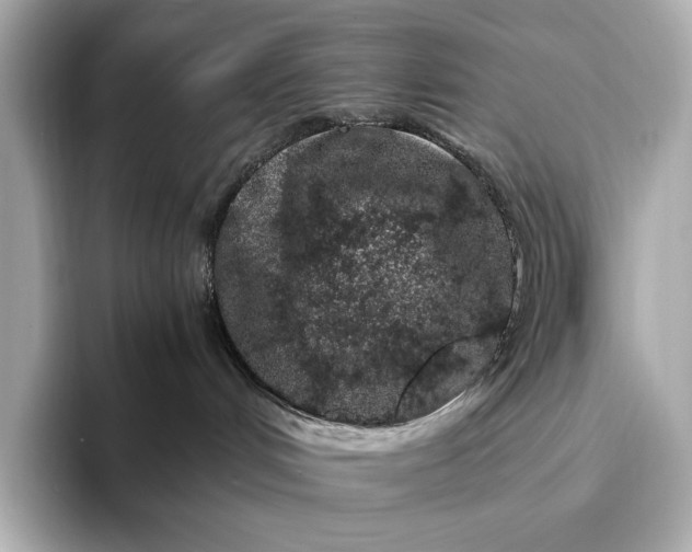 X0000094080048200711021521