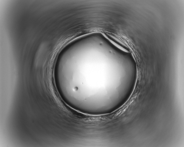 X0000094080049200711021520