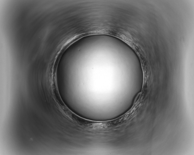 X0000094080050200711021520
