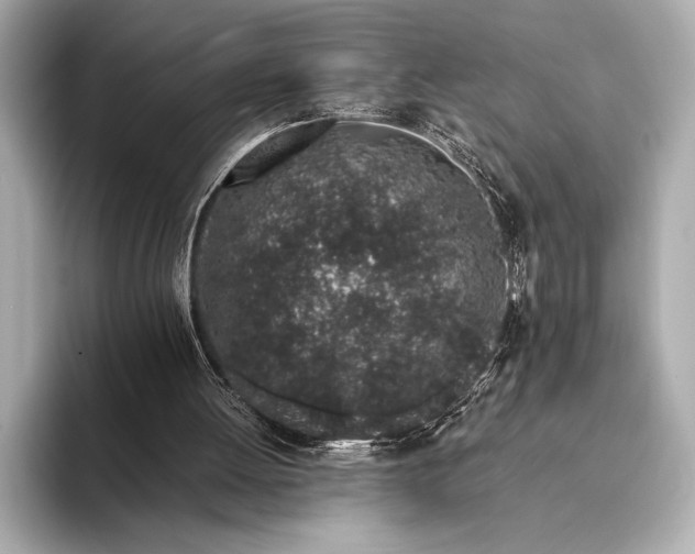 X0000094080052200711021520