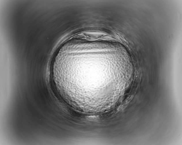 X0000094080053200711021520