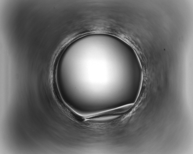 X0000094080055200711021520