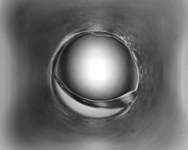 X0000094080056200711021520