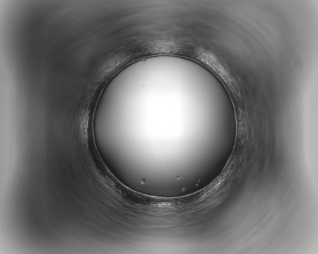 X0000094080058200711021520