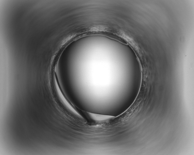 X0000094080060200711021520