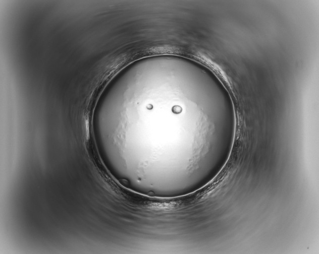 X0000094080061200711021520