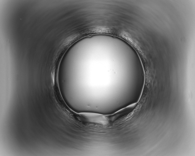 X0000094080062200711021520