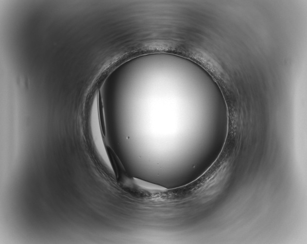 X0000094080064200711021521