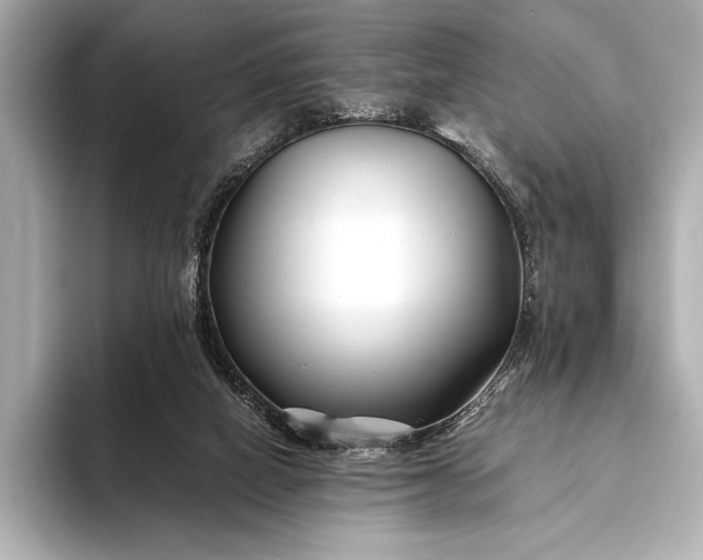 X0000094080066200711021521