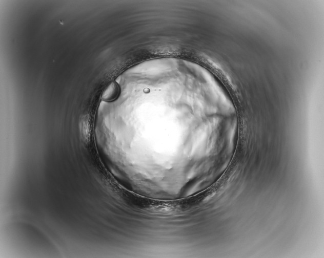 X0000094080069200711021521