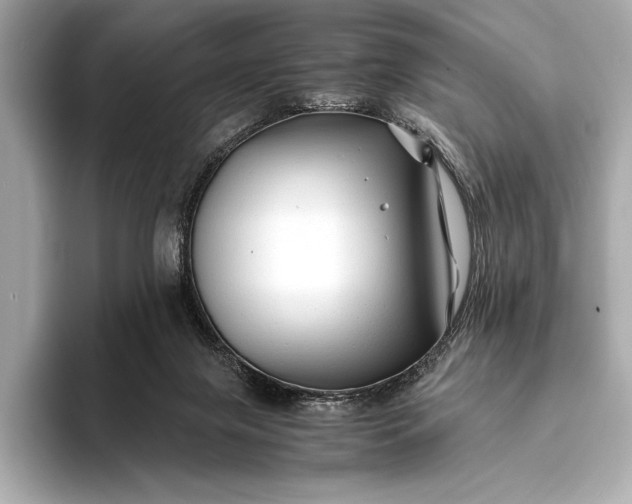 X0000094080071200711021521