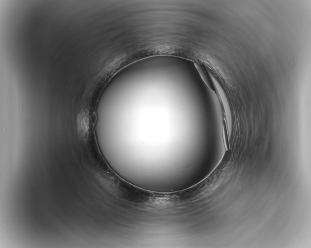 X0000094080072200711021521