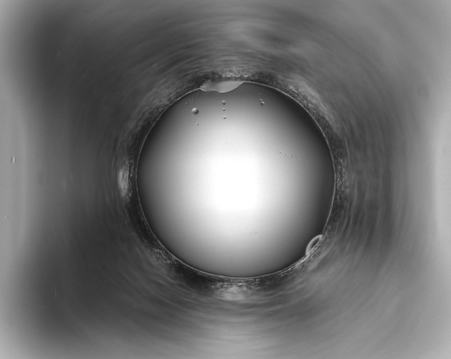 X0000094080074200711021521