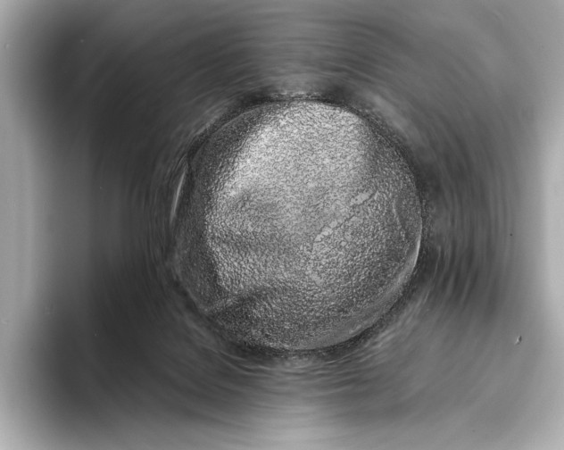 X0000094080076200711021521