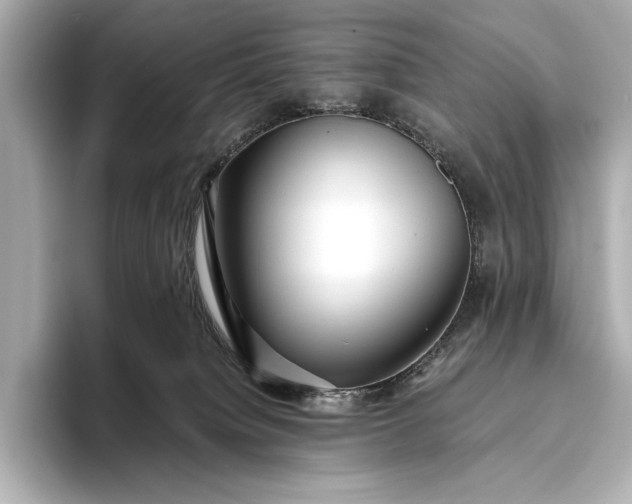 X0000094080084200711021521