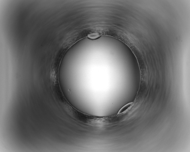 X0000094080086200711021521