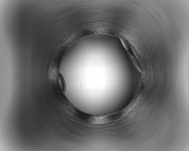 X0000094080093200711021521