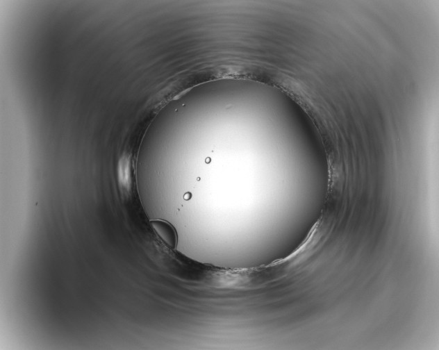 X0000094080094200711021521