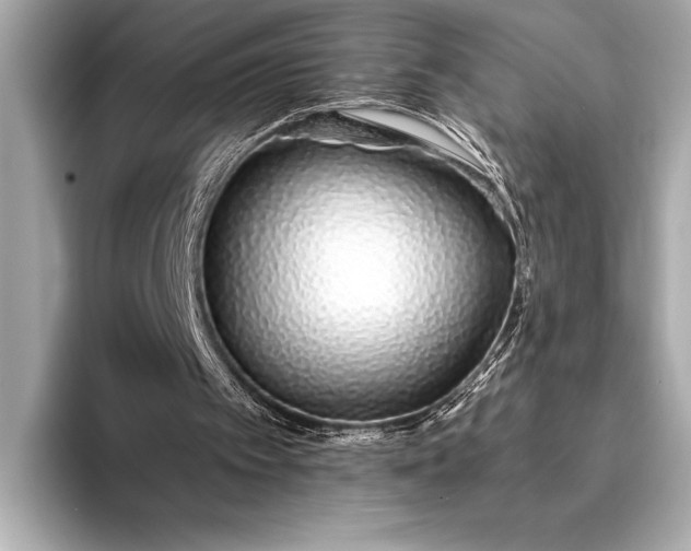 X0000094080097200711021520