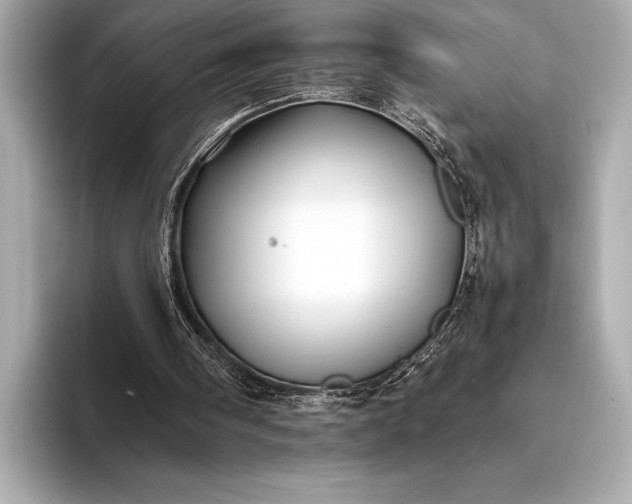 X0000094080098200711021520