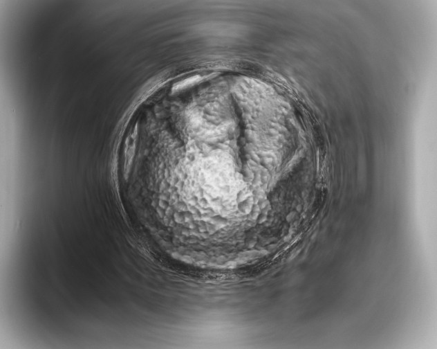 X0000094080099200711021520