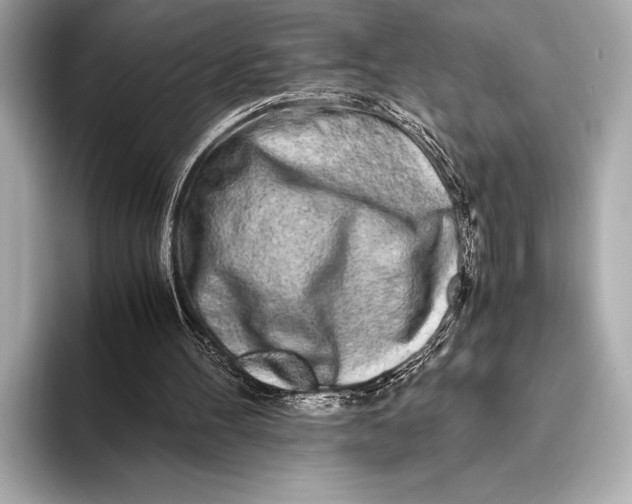 X0000094080100200711021520