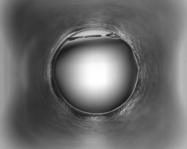 X0000094080103200711021520