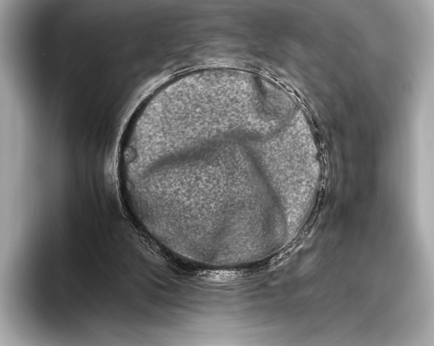 X0000094080104200711021520