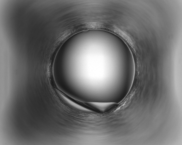 X0000094080105200711021520