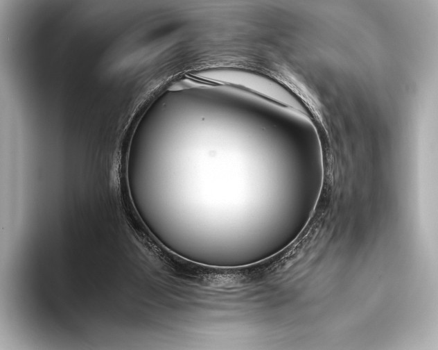 X0000094080107200711021520