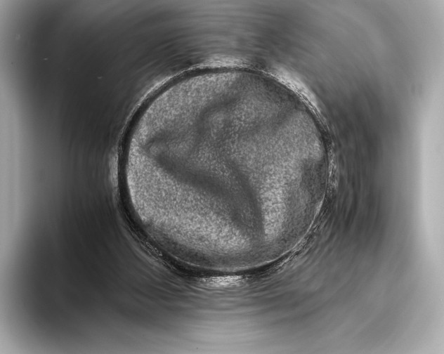 X0000094080108200711021520