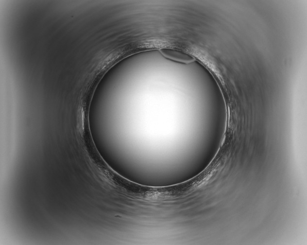 X0000094080109200711021520
