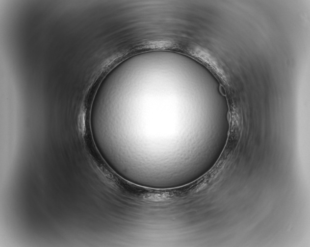 X0000094080110200711021520